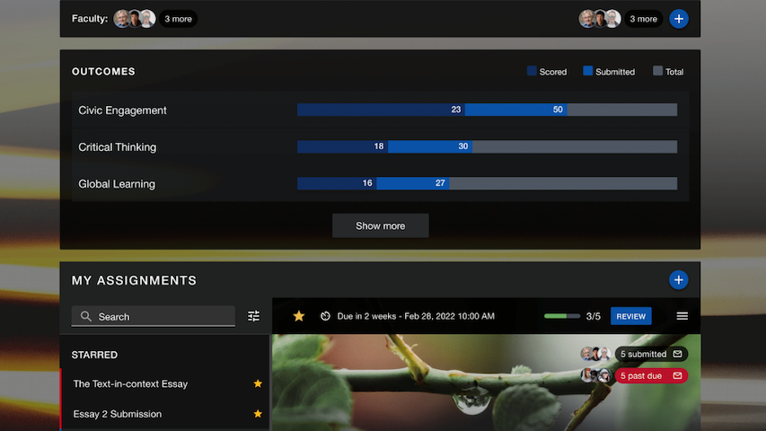 Authentic student learning outcome assessment via portfolio software Authentic student learning outcome assessment via portfolio software